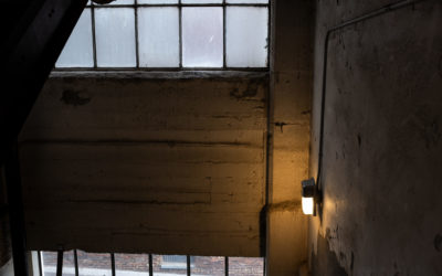 Day: 145